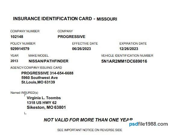 USA Missouri Insurance ID Card